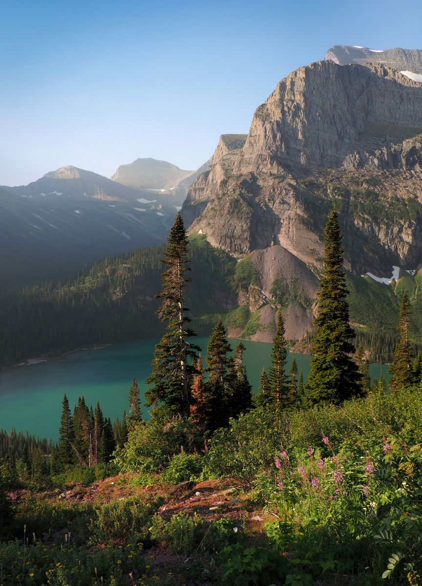 Mountains and trees in Montana